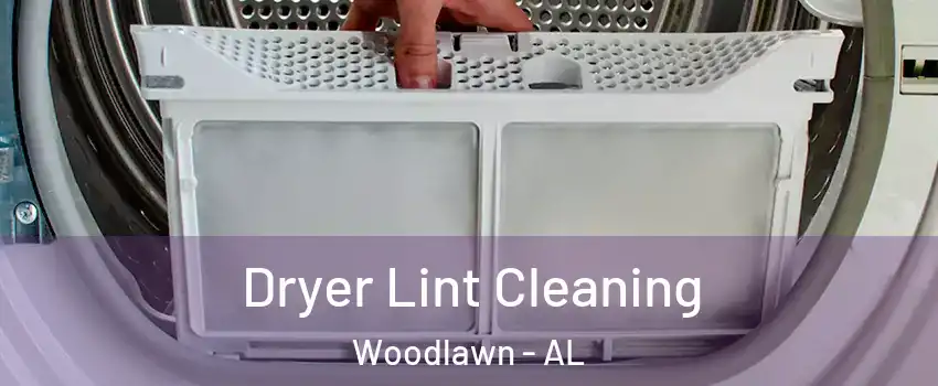 Dryer Lint Cleaning Woodlawn - AL