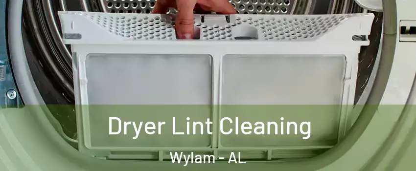 Dryer Lint Cleaning Wylam - AL