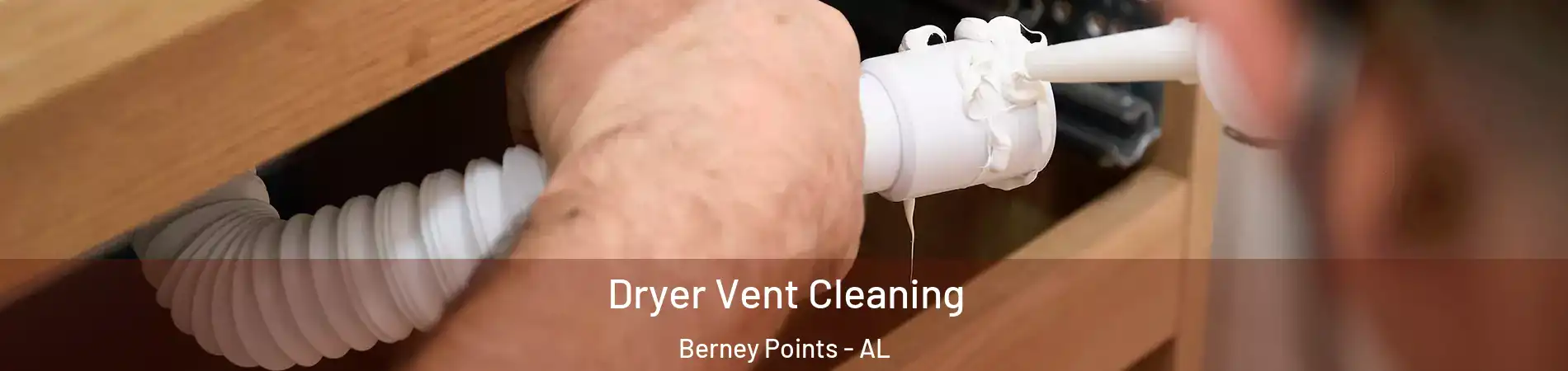 Dryer Vent Cleaning Berney Points - AL