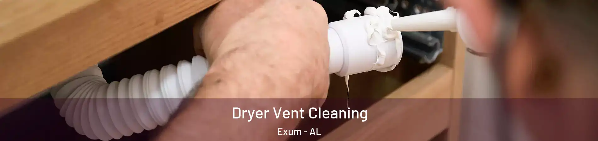 Dryer Vent Cleaning Exum - AL
