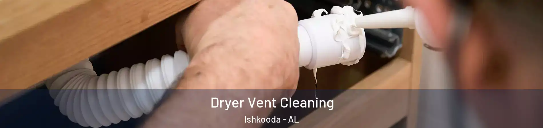 Dryer Vent Cleaning Ishkooda - AL