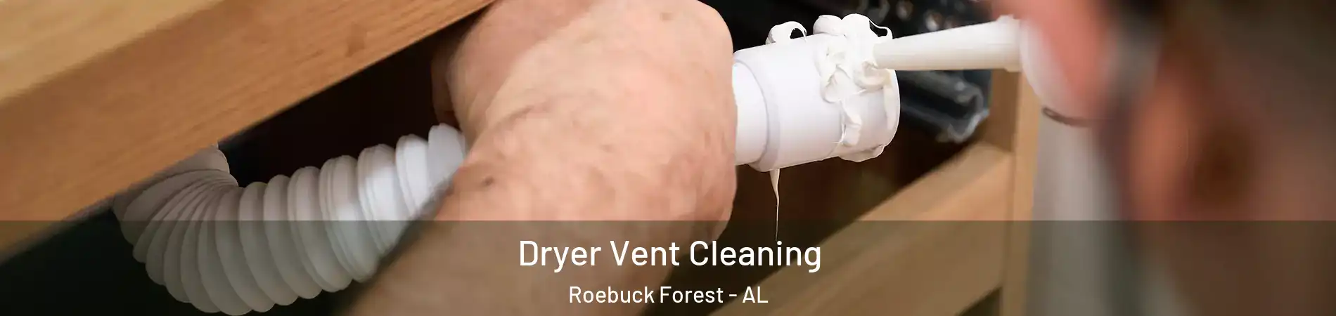 Dryer Vent Cleaning Roebuck Forest - AL