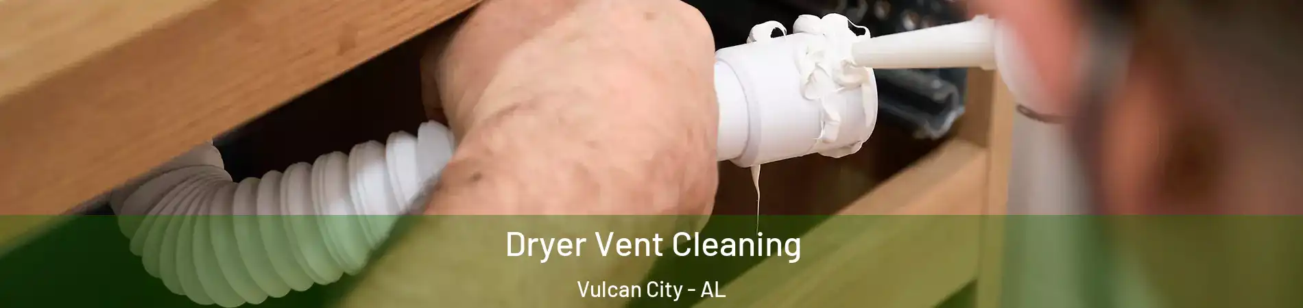 Dryer Vent Cleaning Vulcan City - AL