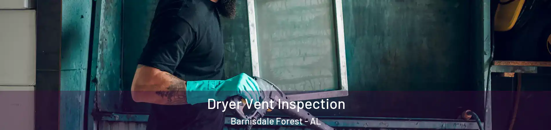 Dryer Vent Inspection Barnisdale Forest - AL