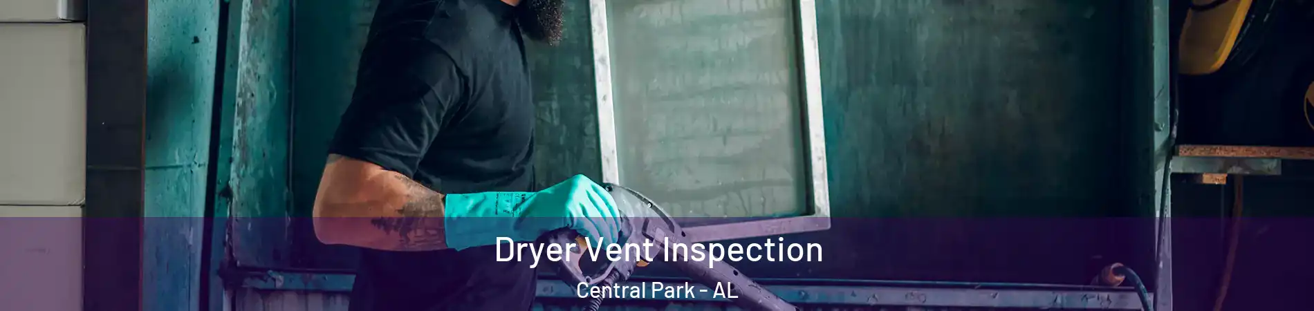 Dryer Vent Inspection Central Park - AL
