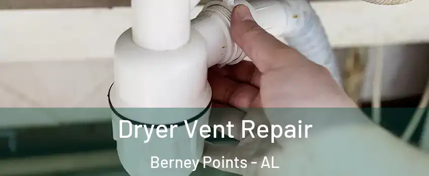 Dryer Vent Repair Berney Points - AL