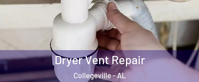 Dryer Vent Repair Collegeville - AL