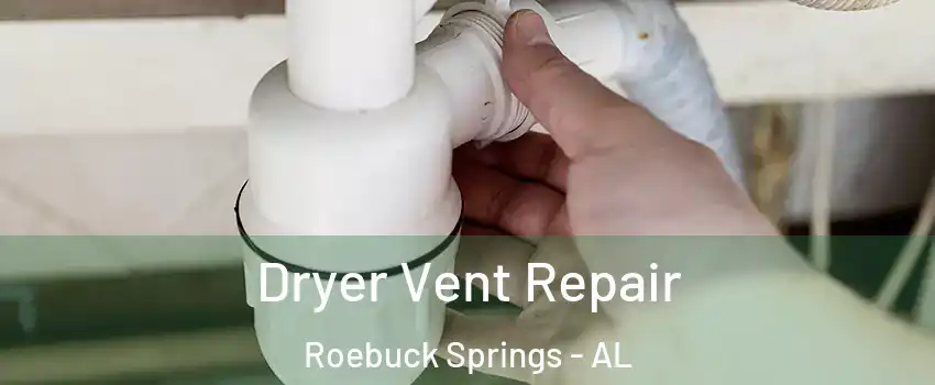 Dryer Vent Repair Roebuck Springs - AL