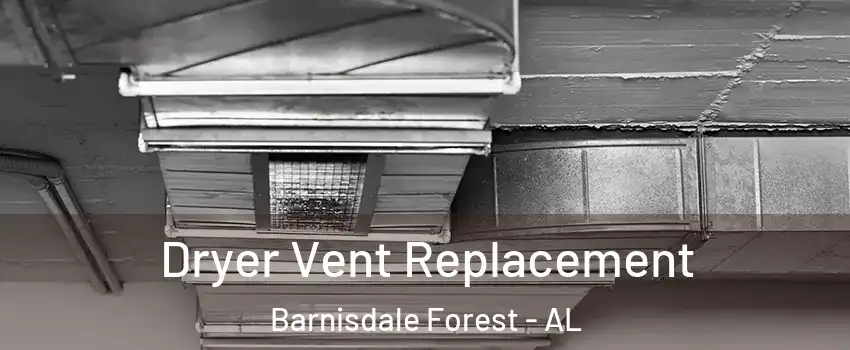 Dryer Vent Replacement Barnisdale Forest - AL