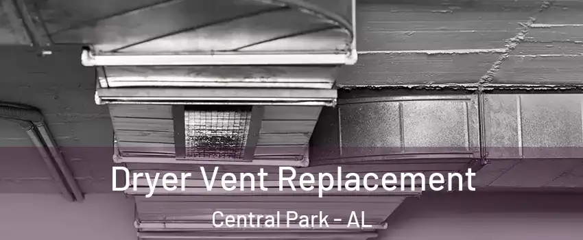 Dryer Vent Replacement Central Park - AL