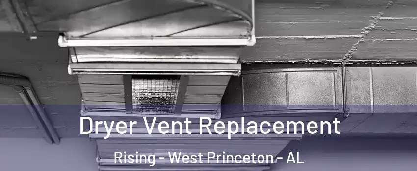 Dryer Vent Replacement Rising - West Princeton - AL