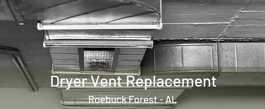 Dryer Vent Replacement Roebuck Forest - AL