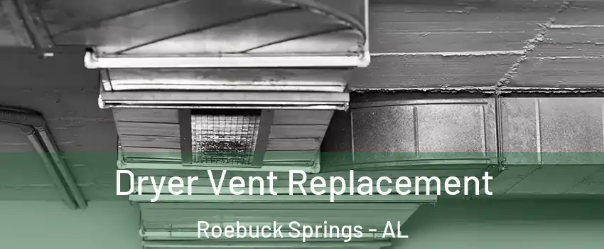 Dryer Vent Replacement Roebuck Springs - AL