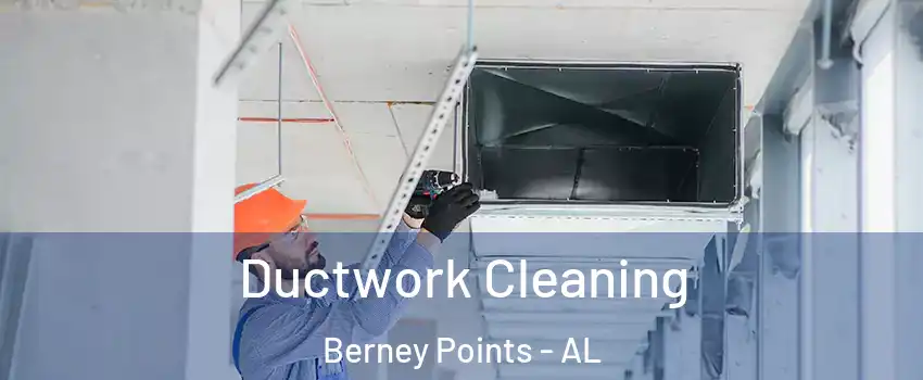 Ductwork Cleaning Berney Points - AL