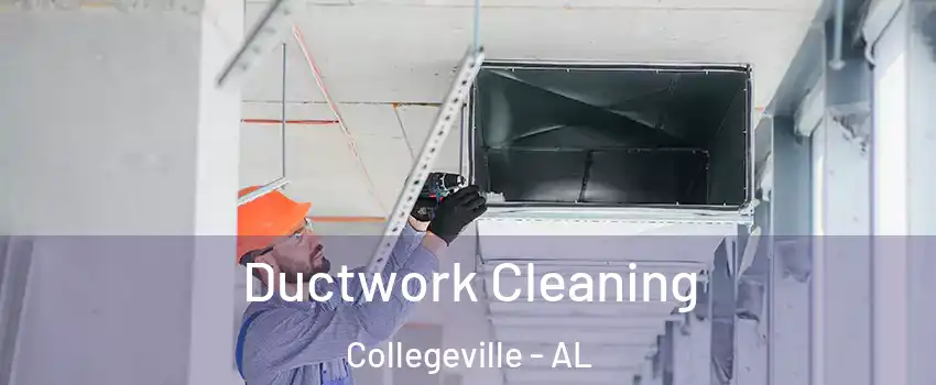 Ductwork Cleaning Collegeville - AL