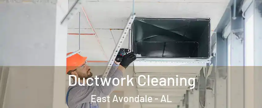 Ductwork Cleaning East Avondale - AL
