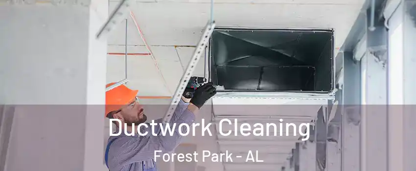 Ductwork Cleaning Forest Park - AL