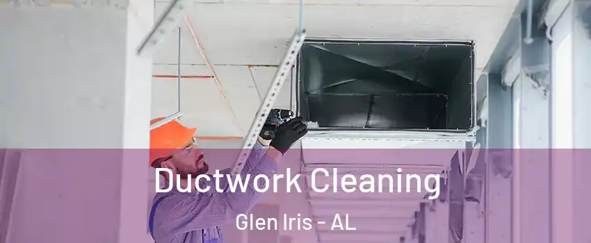 Ductwork Cleaning Glen Iris - AL