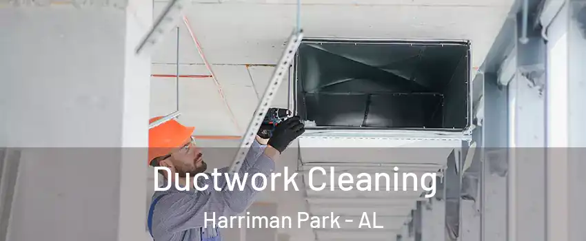 Ductwork Cleaning Harriman Park - AL