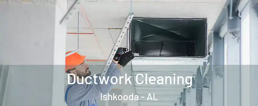 Ductwork Cleaning Ishkooda - AL
