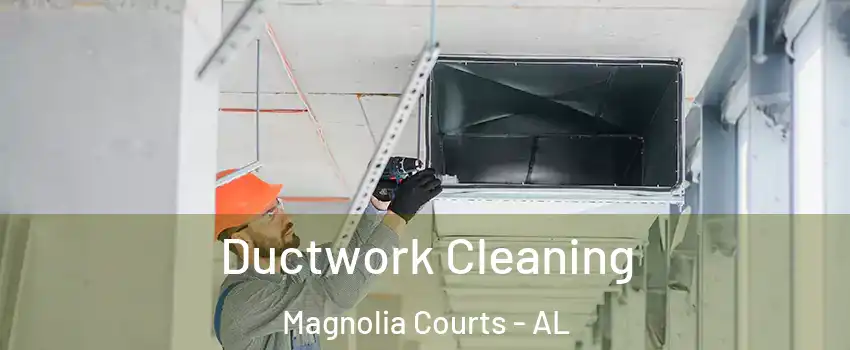 Ductwork Cleaning Magnolia Courts - AL