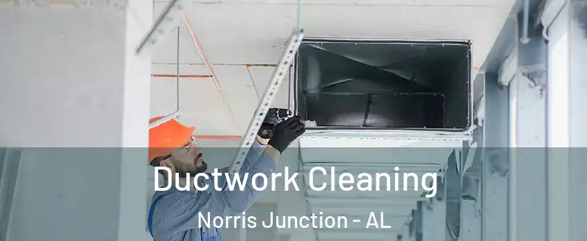 Ductwork Cleaning Norris Junction - AL