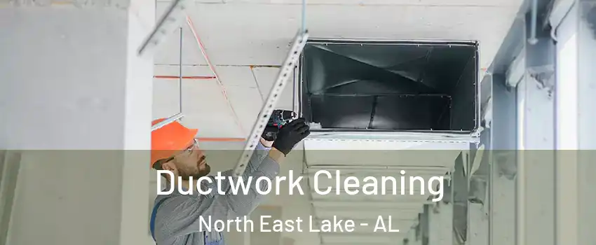 Ductwork Cleaning North East Lake - AL