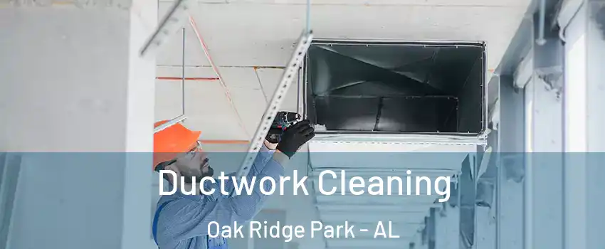 Ductwork Cleaning Oak Ridge Park - AL