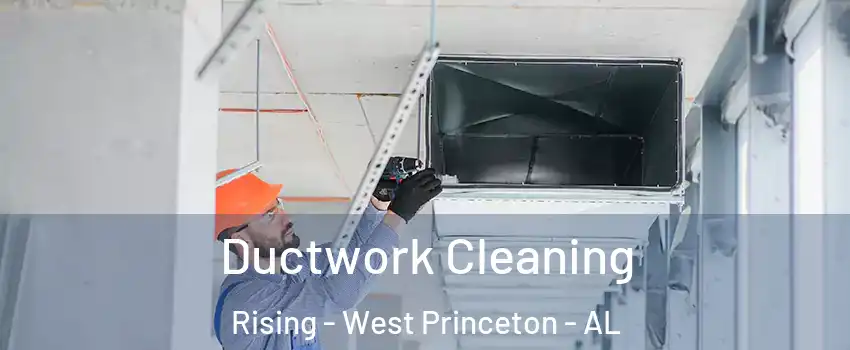 Ductwork Cleaning Rising - West Princeton - AL