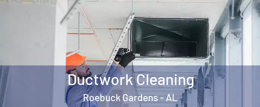 Ductwork Cleaning Roebuck Gardens - AL