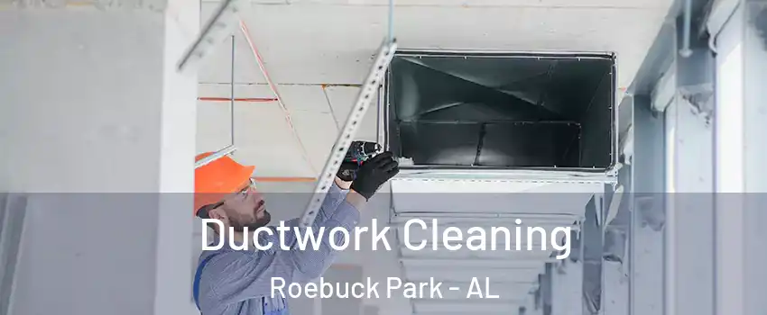 Ductwork Cleaning Roebuck Park - AL