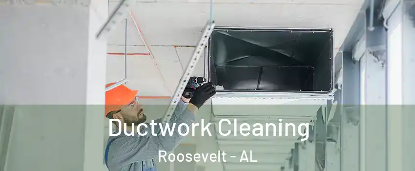 Ductwork Cleaning Roosevelt - AL