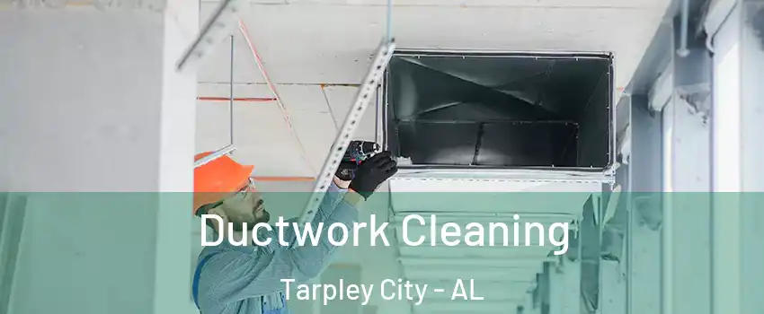 Ductwork Cleaning Tarpley City - AL