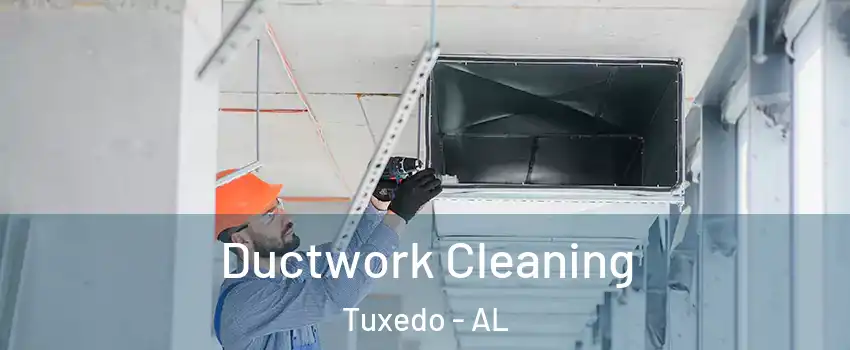 Ductwork Cleaning Tuxedo - AL
