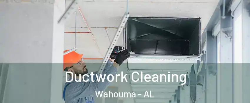 Ductwork Cleaning Wahouma - AL