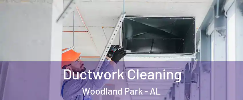Ductwork Cleaning Woodland Park - AL