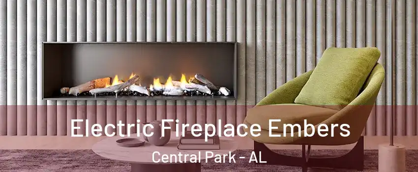 Electric Fireplace Embers Central Park - AL