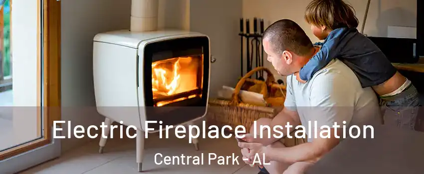 Electric Fireplace Installation Central Park - AL