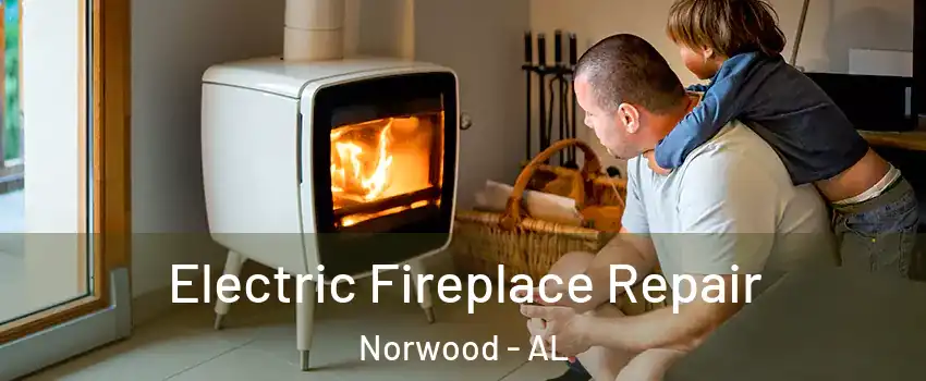 Electric Fireplace Repair Norwood - AL