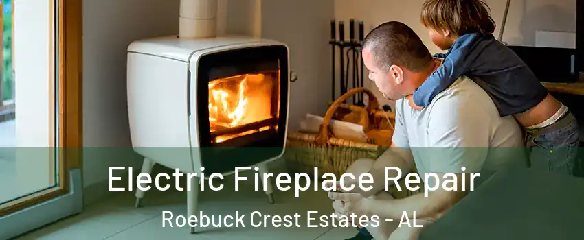 Electric Fireplace Repair Roebuck Crest Estates - AL