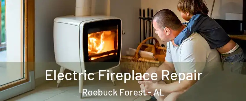 Electric Fireplace Repair Roebuck Forest - AL