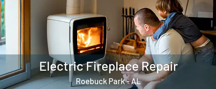 Electric Fireplace Repair Roebuck Park - AL