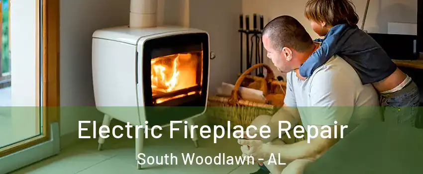 Electric Fireplace Repair South Woodlawn - AL
