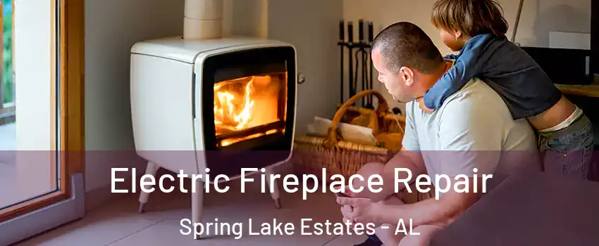 Electric Fireplace Repair Spring Lake Estates - AL