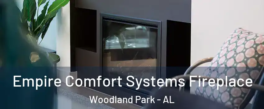 Empire Comfort Systems Fireplace Woodland Park - AL