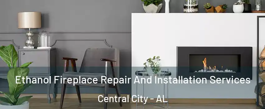 Ethanol Fireplace Repair And Installation Services Central City - AL