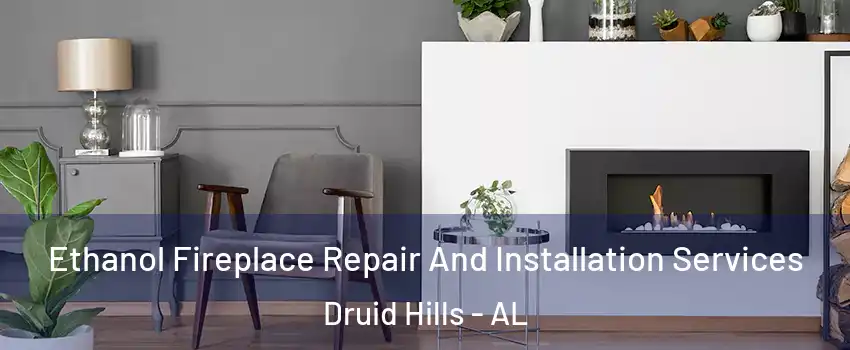 Ethanol Fireplace Repair And Installation Services Druid Hills - AL