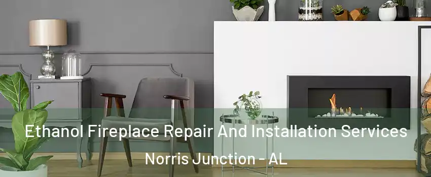 Ethanol Fireplace Repair And Installation Services Norris Junction - AL