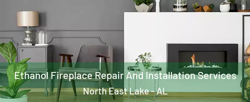 Ethanol Fireplace Repair And Installation Services North East Lake - AL
