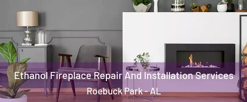 Ethanol Fireplace Repair And Installation Services Roebuck Park - AL